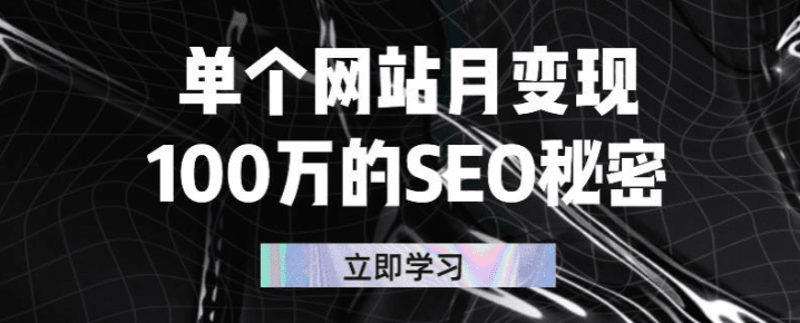 SEO秘密单个网站月变现100万：如何百分百做出赚钱站点