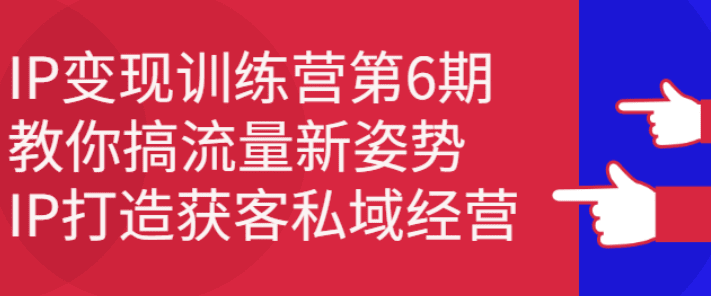 IP变现训练营第6期：教你搞流量新姿势，IP打造获客私域经营