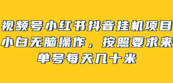 视频号小红书抖音挂机项目，小白无脑操作，按照要求来，单号每天几十米