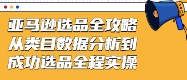 亚马逊选品全攻略：从类目数据分析到成功选品全程实操