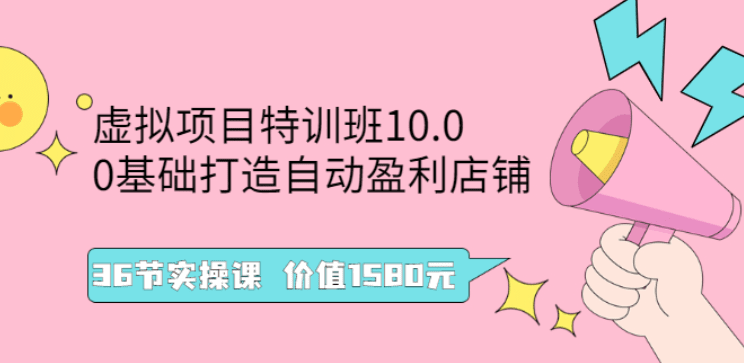 虚拟项目特训班10.0，0基础打造自动盈利店铺 36节实操课 价值1580元