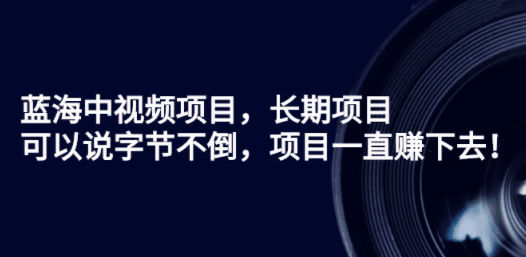 蓝海中视频项目，长期项目，可以说字节不倒，项目一直赚下去