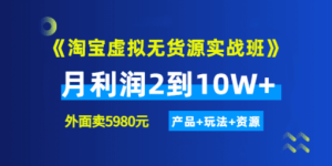 《淘宝虚拟无货源实战班》线上第四期：月利润2到10W+（产品+玩法+资源)