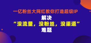 一亿粉丝大网红教你打造超级IP：解决“没流量，没粉丝，没渠道”难题