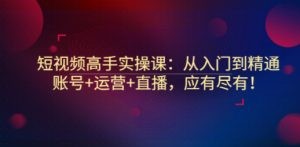 短视频高手实操课：从入门到精通，账号+运营+直播