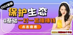 保护生态2022新版本 一对一直播聊天全自动挂机项目1分钟10-20元