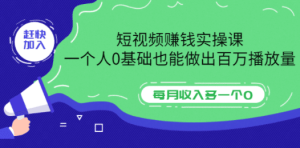 短视频赚钱实操课，一个人0基础也能做出百万播放量，每月收入多一个0