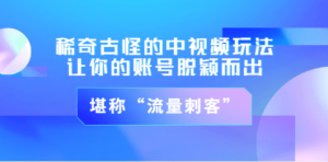 稀奇古怪的中视频玩法，让你的账号脱颖而出，堪称“流量刺客”（图文+视频) ...