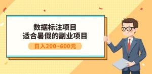 数据标注项目：适合暑假的副业兼职项目，日入200~600元