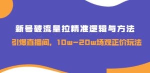 新号破流量拉精准逻辑与方法，引爆直播间，10w-20w场观正价玩法