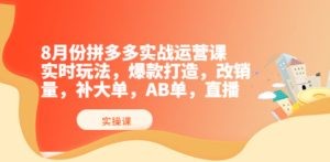 8月份拼多多实战运营课，实时玩法，爆款打造，改销量，补大单，AB单，直播 ...