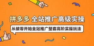 拼多多全站推广高级实操：从破零开始全站推广整套高阶实操玩法