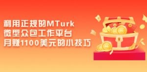 利用正规的MTurk微型众包工作平台，月赚1100美元的小技巧