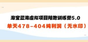 淘宝蓝海虚拟项目陪跑训练营5.0：单天478纯利润