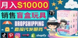 Dropshipping+ Shopify推广玩具盲盒赚钱：每单利润率30%, 月赚1万美元以上