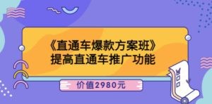 《直通车爆款方案班》提高直通车推广功能：价值2980元