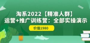 淘系2022【精准人群】运营+推广训练营：全部实操演示