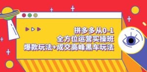 拼多多从0-1全方位运营实操班：爆款玩法+成交高峰黑车玩法