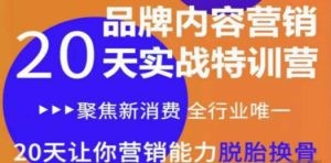 内容营销实操特训营 20天让你营销能力脱胎换骨