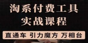 淘系付费工具实战课程【直通车、引力魔方】战略优化，实操演练