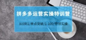 拼多多运营实操特训营：从0到1/单点突破/1-100/带领实操