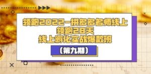 2022-拼多多名师线上领跑28天，线上孵化实战爆款班