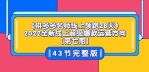 2022全新线上超级爆款运营方向【第七期】43节课