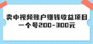 卖中视频账户赚钱收益项目，一个号200-300元