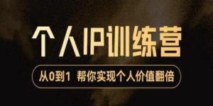 从0到1打造短视频个人IP训练营，精准强吸粉+人设塑造+主页搭建+快速起号