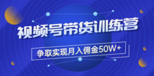 《视频号带货训练营》争取实现月入佣金50W+  阿兴说钱