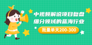 中视频解说项目复盘：细分领域的蓝海行业 批量单天200-300收益