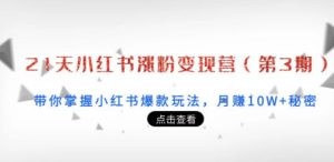 21天小红书涨粉变现营（第3期）：带你掌握小红书爆款玩法，月赚10W+秘密