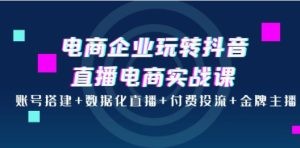 电商企业玩转抖音直播电商实战课：账号搭建+数据化直播+付费投流+金牌主播 ...