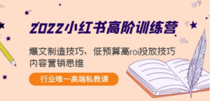 2022小红书高阶训练营：爆文制造技巧，低预算高roi投放技巧，内容营销思维