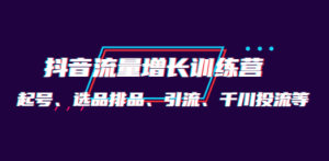 月销1.6亿实操团队·抖音流量增长训练营：起号、选品排品、引流 千川投流