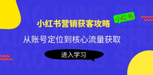 小红书营销获客攻略：从账号定位到核心流量获取，爆款笔记打造