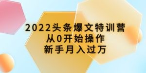 2022头条爆文特训营：从0开始操作，新手月入过万（16节课时）