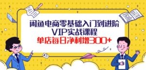 闲鱼电商零基础入门到进阶VIP实战课程，单店每日净利增300+（37节课）