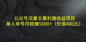 单人单号月稳赚5000+