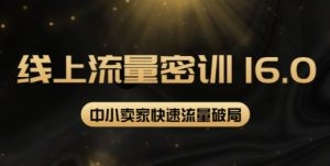 2022秋秋线上流量密训16.0：包含 暴力引流10W+中小卖家流量破局技巧 等等