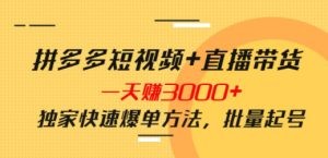 拼多多短视频+直播带货，一天赚3000+独家快速爆单方法，批量起号