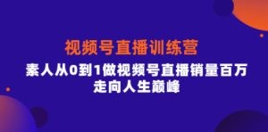 行动派·视频号直播训练营，素人从0到1做视频号直播销量百万，走向人生巅峰 ...