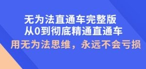 无为法直通车完整版：从0到彻底精通直通车，用无为法思维，永远不会亏损