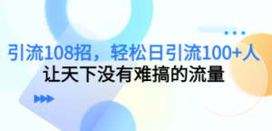 引流108招，轻松日引流100+人，让天下没有难搞的流量