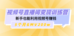 视频号直播间变现训练营：新手也能利用视频号赚钱，5个月GMV200w