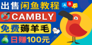 闲鱼赚钱小技巧，每单净赚10元，日赚100元 – 出售Cambly注册教程