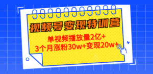 20天视频号变现特训营：单视频播放量2亿+3个月涨粉30w+变现20w+