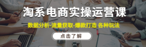 淘系电商实操运营课：数据分析-流量获取-爆款打造 各种玩法（63节）