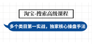 淘宝-搜索高级课程：多个类目第一实战，独家核心操盘手法