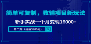 简单可复制，教辅项目新玩法，新手实战一个月变现16000+